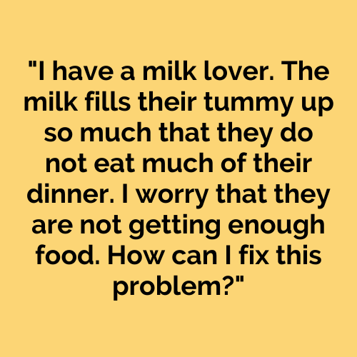 I have a milk lover. The milk fills their tummy up so much that they do not eat much of their dinner. I worry that they are not getting enough food. How can I fix this problem?